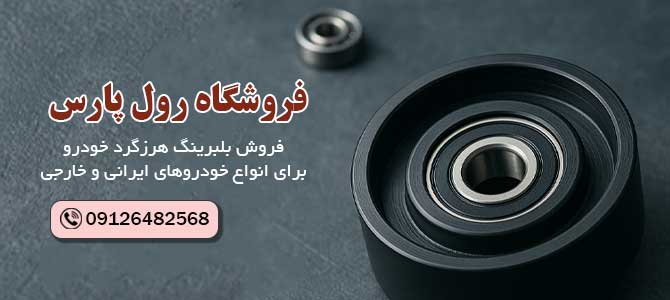 بلبرینگ هرزگرد