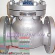 Check Valve Check Valve