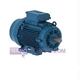 electromotor electromotor