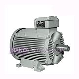 electromotor electromotor