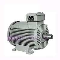 electromotor electromotor