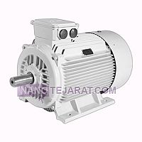 electromotor electromotor