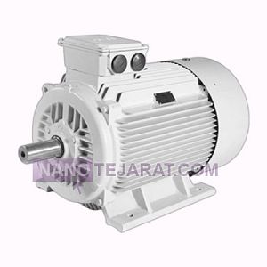 electromotor electromotor