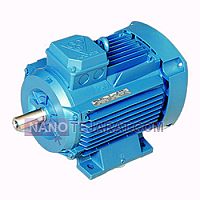 electromotor electromotor