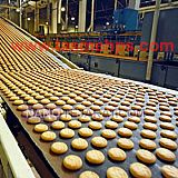 تسمه نقاله پی وی سیp.v.c تسمه نقاله پی وی سیp.v.c