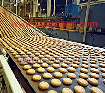 تسمه نقاله پی وی سیp.v.c تسمه نقاله پی وی سیp.v.c