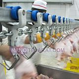 زنجیر کشتارگاهی استیل و فولادی زنجیر کشتارگاهی استیل و فولادی