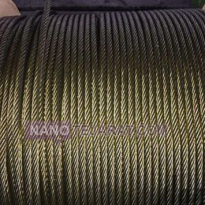 Wirerops Wirerops