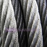 Wirerops Wirerops