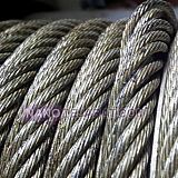 Wirerops Wirerops