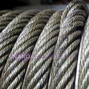 Wirerops Wirerops