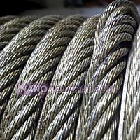 Steel wire rope IWRC