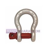 شگل کروزبی اصل آمریکا شگل کروزبی اصل آمریکا