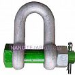 Green Pin D shackle Green Pin D shackle