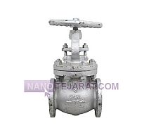 Kitz 3-inch Class 150 steel globe valve Kitz 3-inch Class 150 steel globe valve