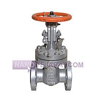 Kitz 2-inch Class 300 gate valve Kitz 2-inch Class 300 gate valve