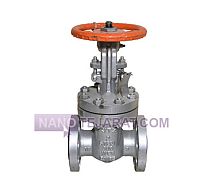 Kitz 2-inch Class 300 gate valve Kitz 2-inch Class 300 gate valve