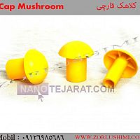 Cap Mushroom Cap Mushroom