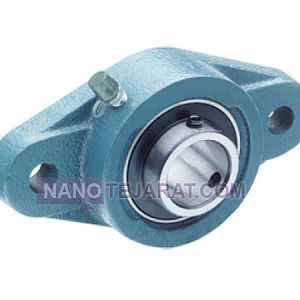 Oval flange bearing unit