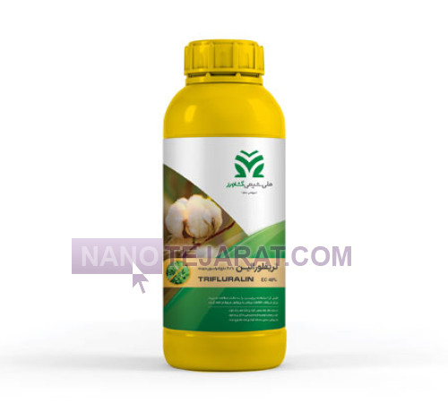 are aglaonema toxic to cats Tigress Aglaonema  Lichtenfelt's