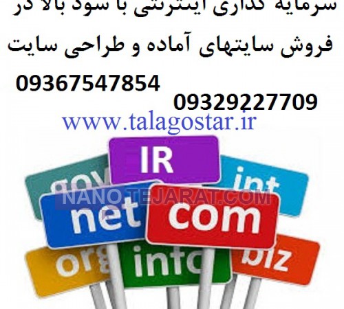 سرمایه گذاری با سود بالا در شغل پرسود اینترنتی