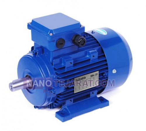 Hoist electric motor