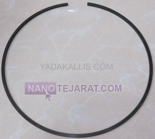 Back Plate Pin ZF