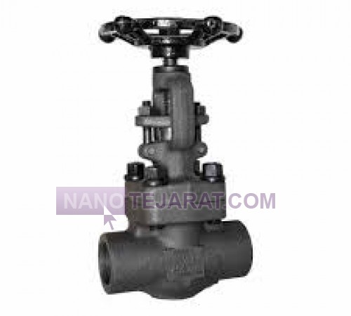 Bonney Forge Gate Valve