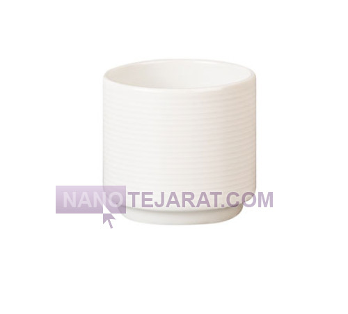 ظروف چینی هتلی - جای خلال دندان