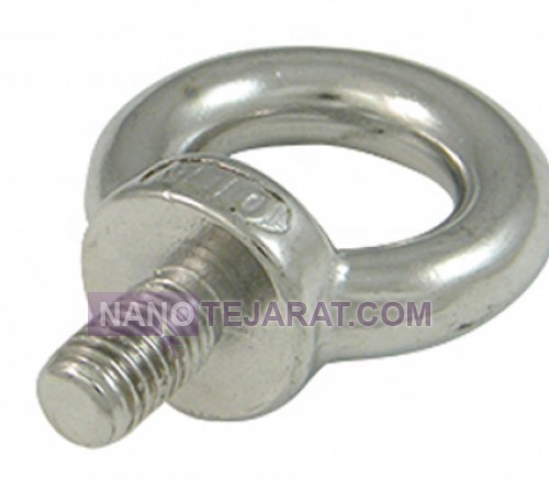 SS316 eye bolt